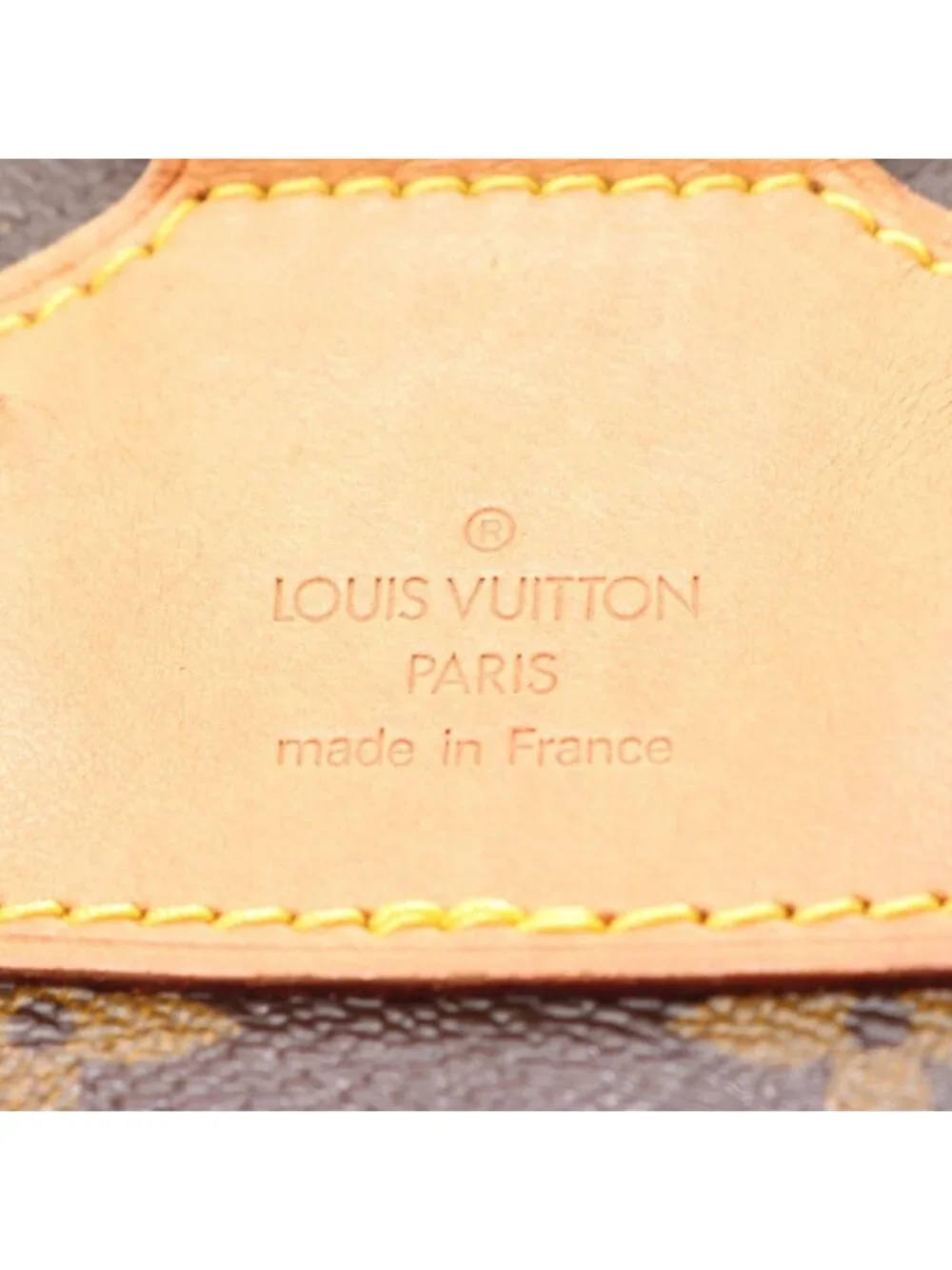 Louis Vuitton Backpack Montsouris MM Canvas Leather
